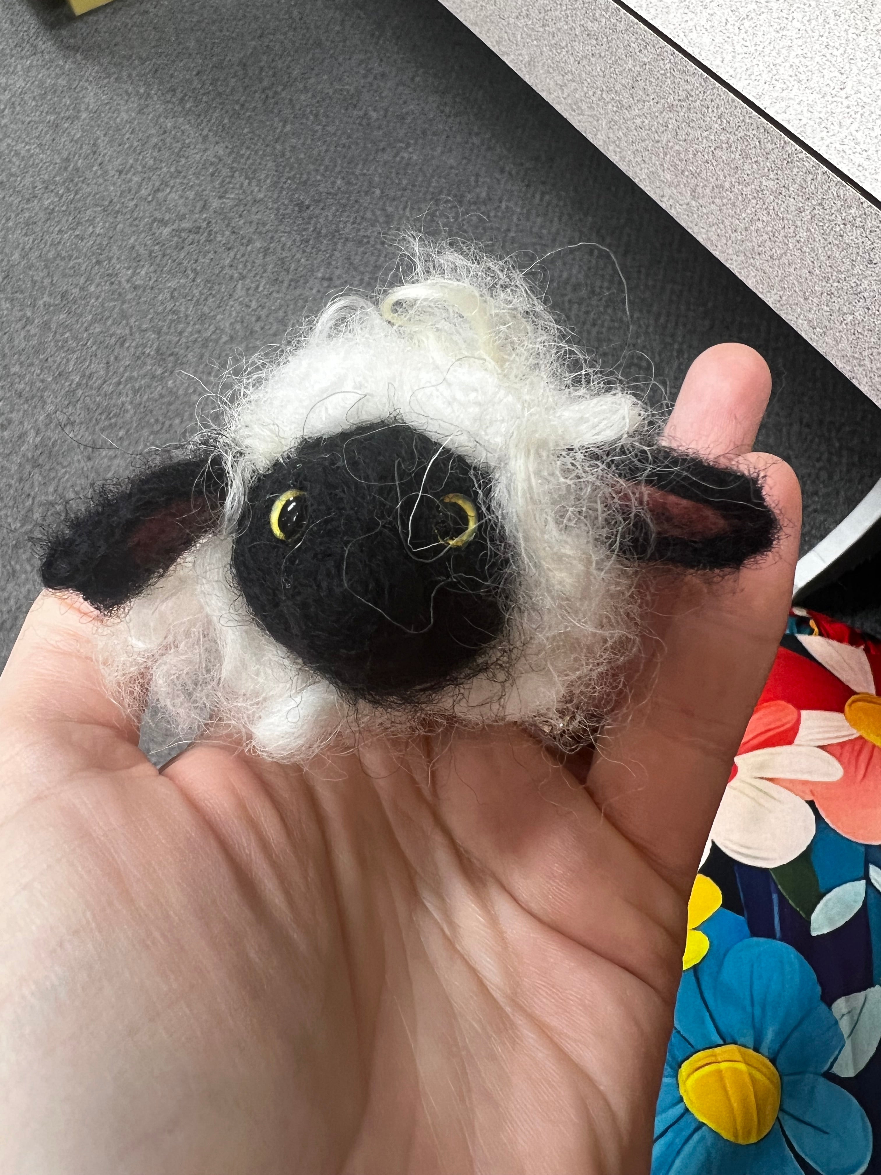 Lost & Found lamb gift box